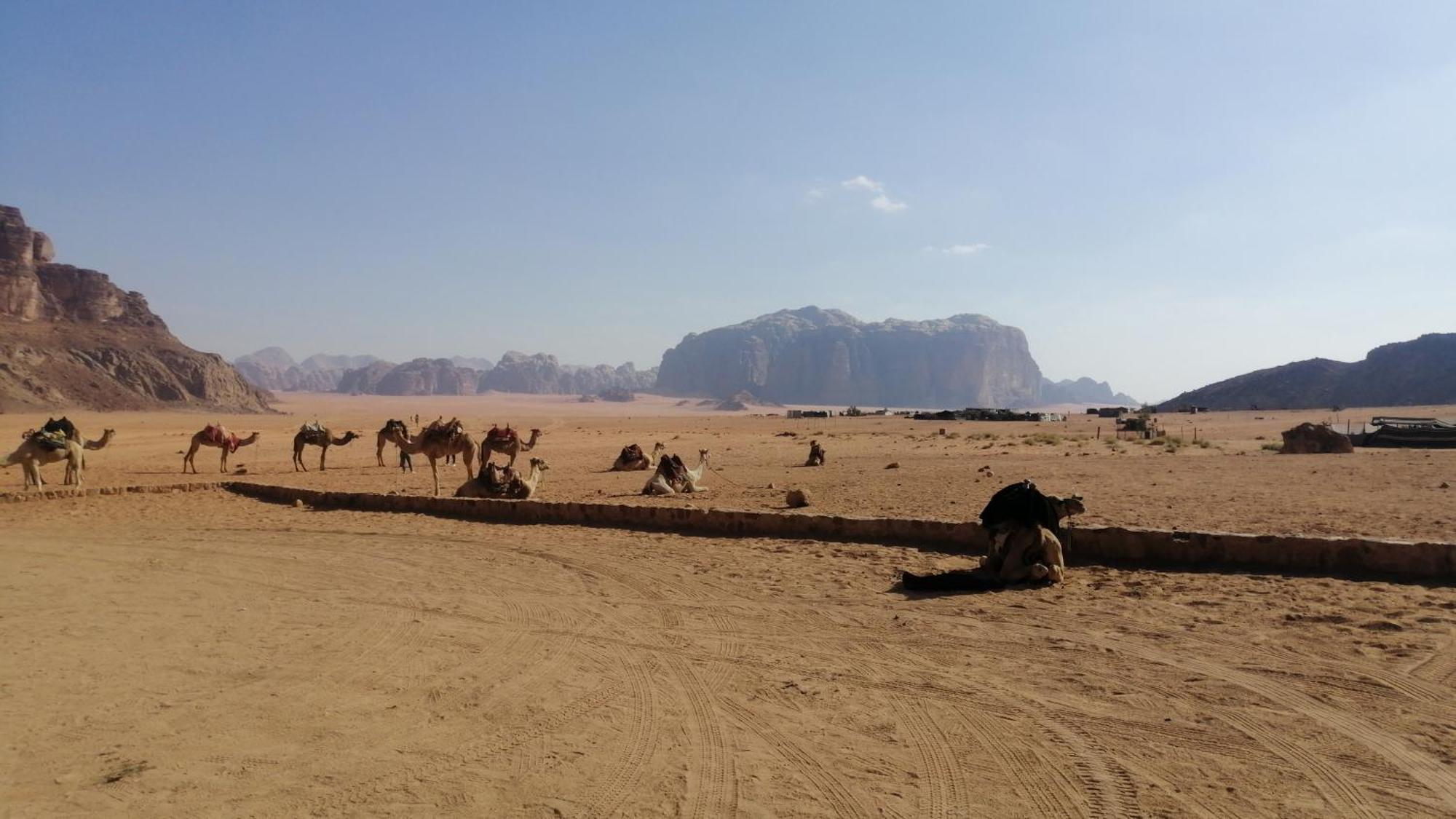 Omar Ghazi Camp Hotell Wadi Rum Eksteriør bilde